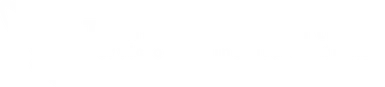 Technology Partners